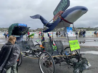 Decorated bicycle art vehicle carries a large gray whale model above its metal frame.