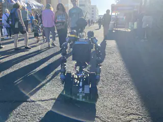 Wider rear view of R.O.B. among visitors, with long shadows across the pavement.